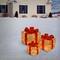 Gold & Red Gift Box Set with Holly with Clear Lights